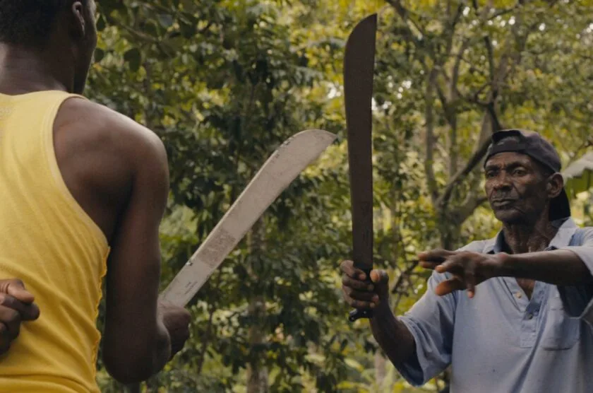 copia de 1 xj6twu52kd8r ha9mgiaqa