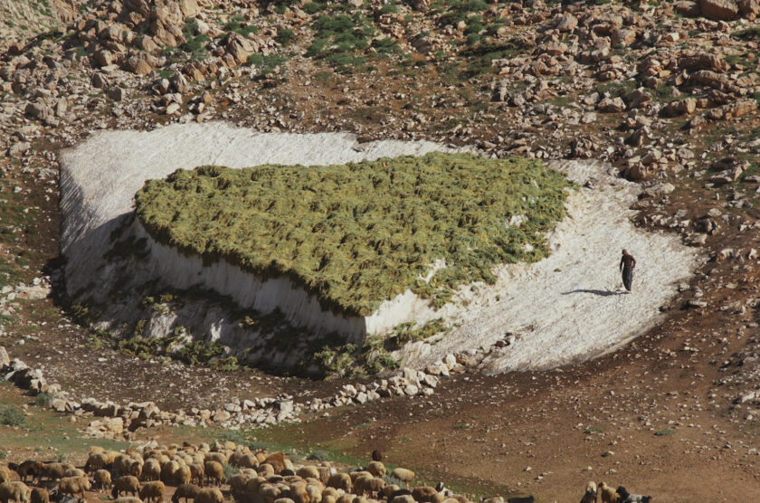 landscape suspended still 2