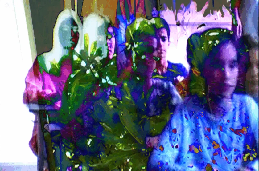 nef 3.12.3 imagen principal