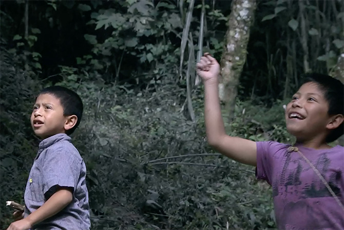screenshot 2026 06 11 at 11.00